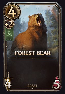 Forest Bear
