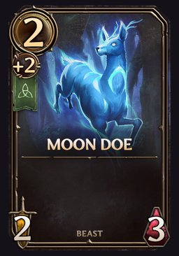 Moon Doe