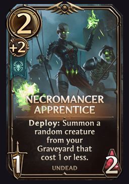 Necromancer Apprentice